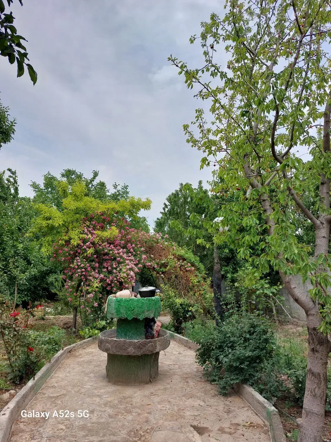 باغ ویلا.نوبهار|اجارهٔ کوتاه‌مدت ویلا و باغ|گلبهار, نوبهار|دیوار