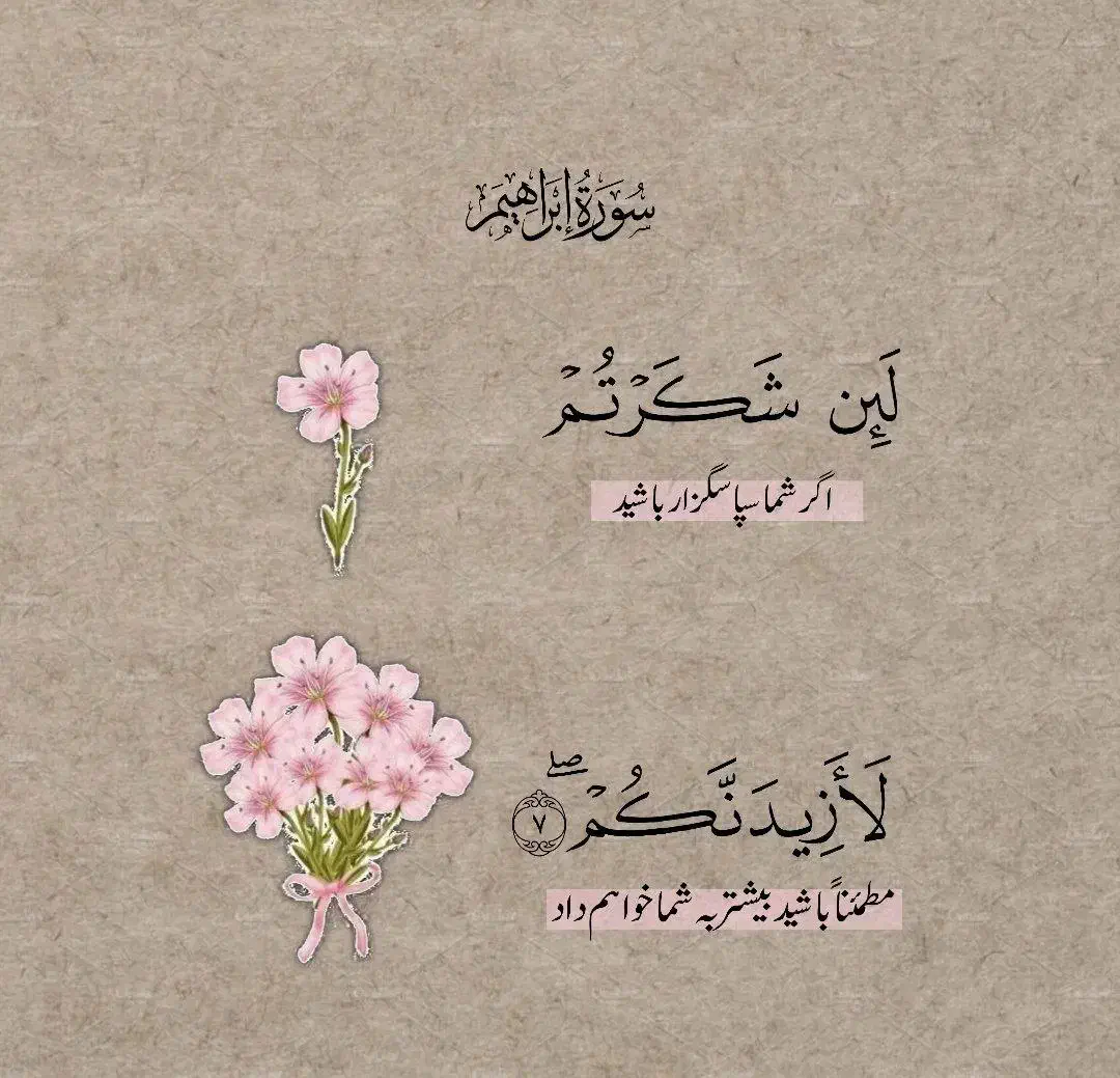 اموزش|خدمات آموزشی|نیشابور, هفده شهریور|دیوار