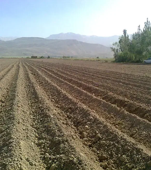 اجاره زمین کشاورزی|اجارهٔ دفتر صنعتی، کشاورزی، تجاری|اسماعیلی, |دیوار