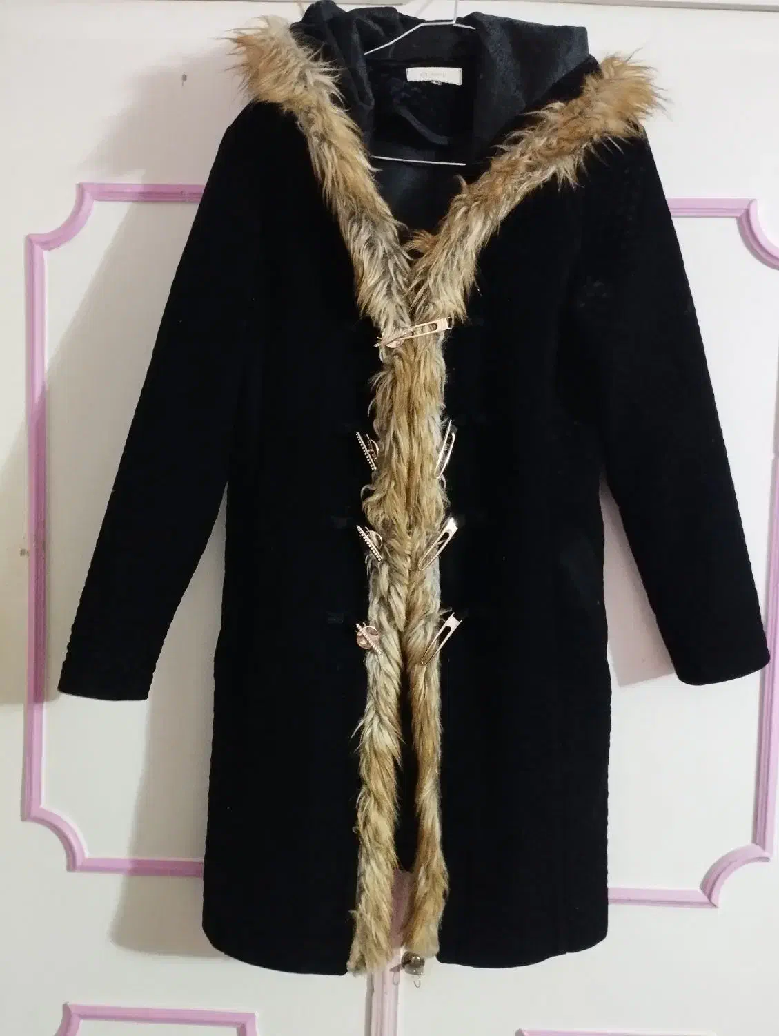 تعدادی پالتو و کاپشن|لباس|قزوین, |دیوار