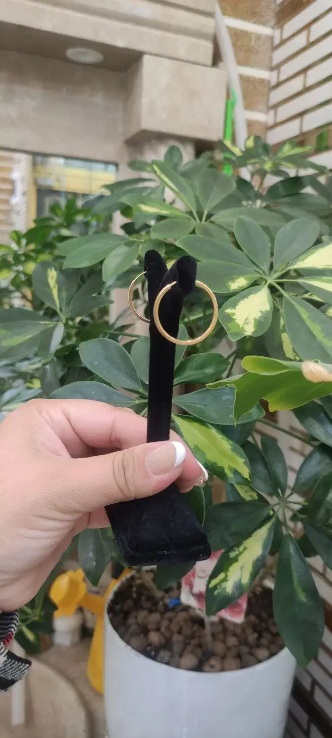 گوشواره حلقه ای زیبا وزن ۱گرم ۸۵۰سوت بافاکتورمعتبر|جواهرات|سبزوار, قلعه‌نو دهزار|دیوار