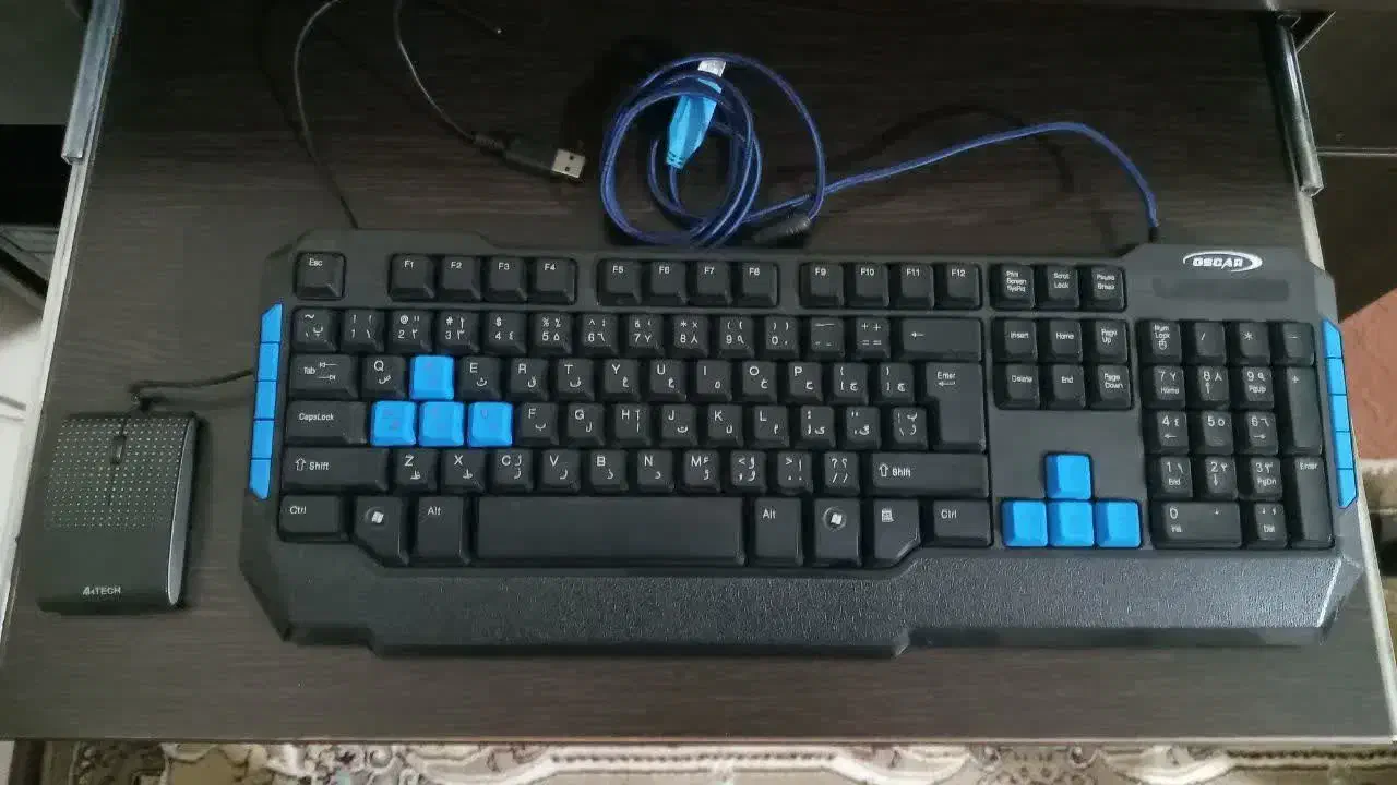 کیبورد همراه با یک موس|قطعات و لوازم جانبی رایانه|هشتگرد, شهرک بوستان|دیوار