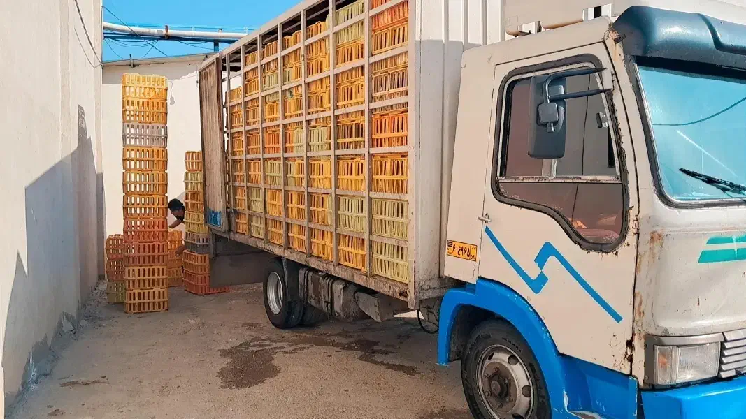 ایویکو مرغی تازه تعمیر|خودرو سنگین|گرگان, |دیوار