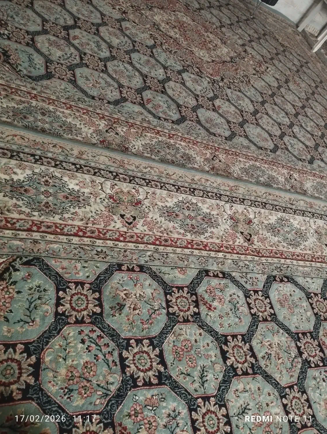 فرش 1200شانه|فرش|تربت‌حیدریه, قائم|دیوار