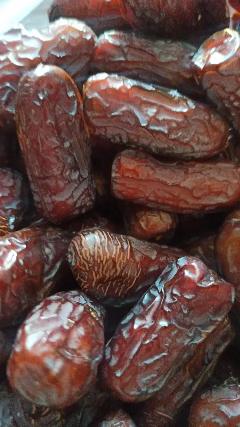 خرمای آجیلی پیارم|خوردنی و آشامیدنی|لامرد, |دیوار