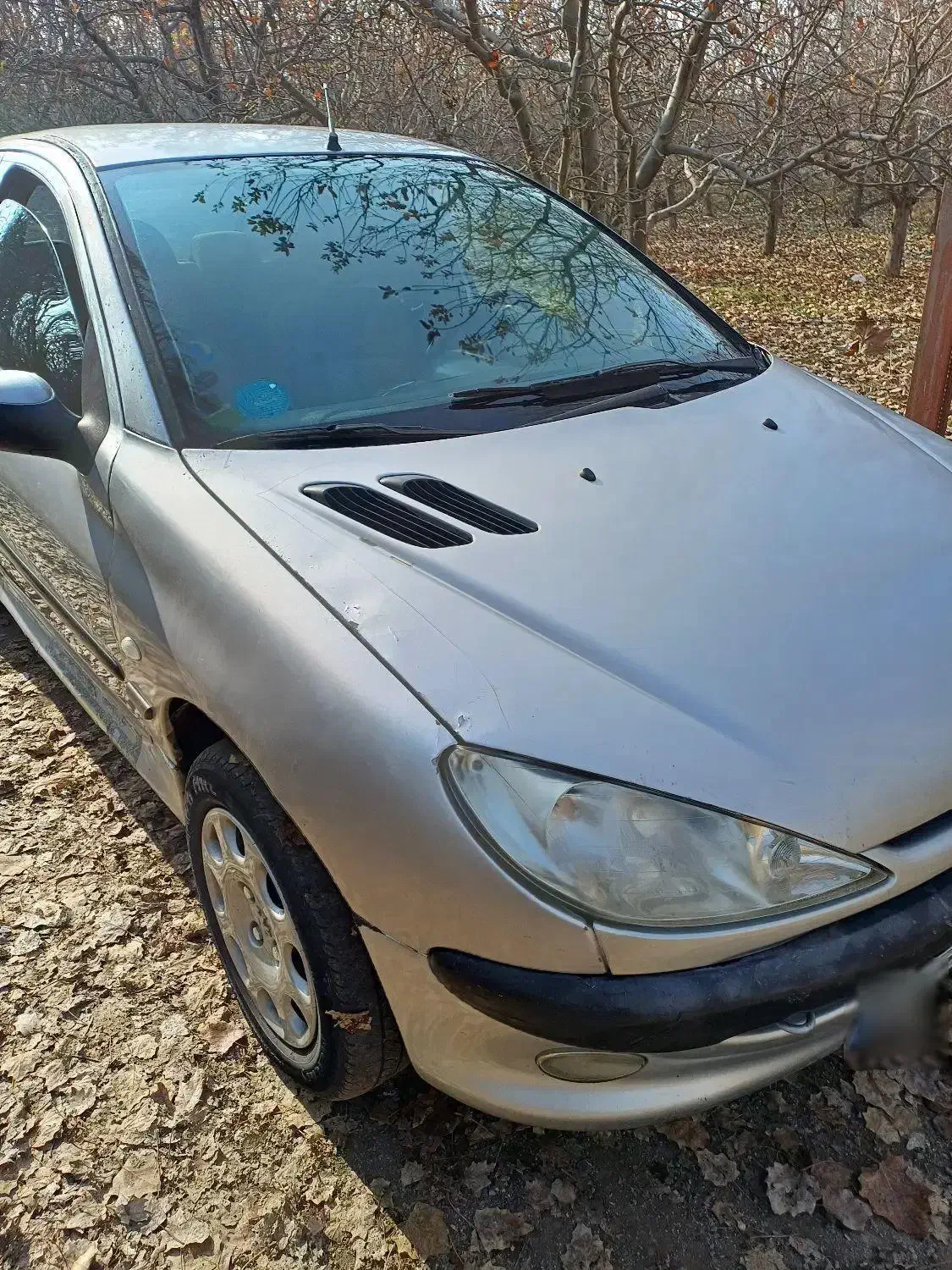 پژو ۲۰۶ تیپ ۲ ، ۱۳۸۴|خودرو سواری و وانت|سلماس, |دیوار