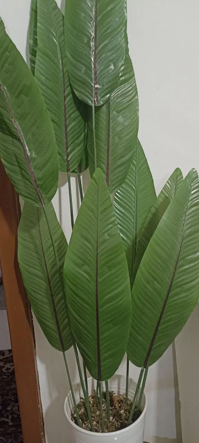 درخت چه|گل مصنوعی|زابل, |دیوار