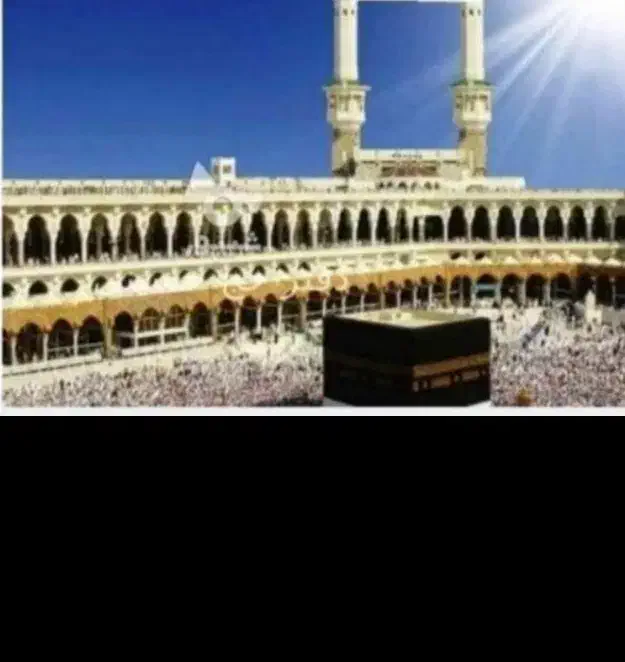 خواهان فیش حج تمتع 20فروردین 86تا 20بهمن|تور و چارتر|تهران, امام حسین|دیوار