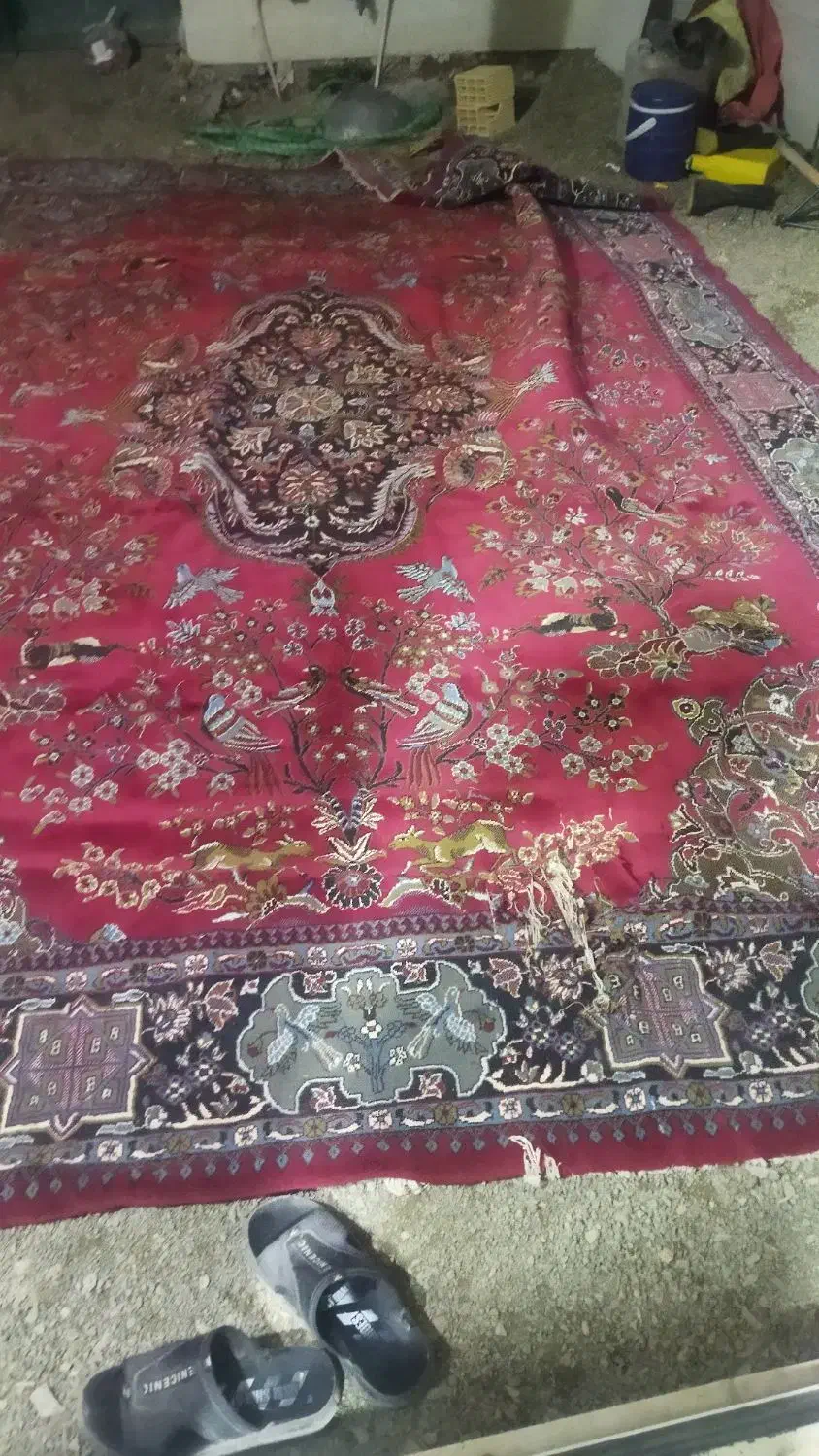 فرش 12 متری درحدنو|فرش|کوهدشت, |دیوار