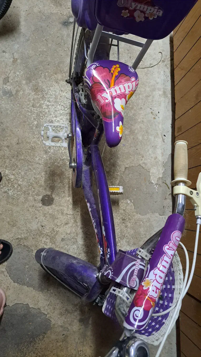 دوچرخه ۱۶ دخترانه|دوچرخه، اسکیت، اسکوتر|بوشهر, |دیوار