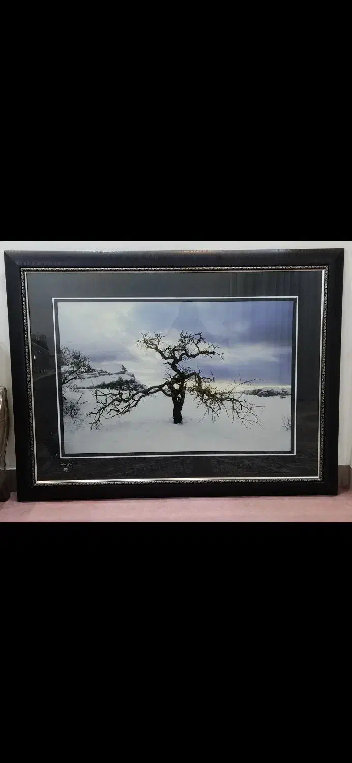 تابلو|تابلو، نقاشی، عکس|تهران, زعفرانیه|دیوار