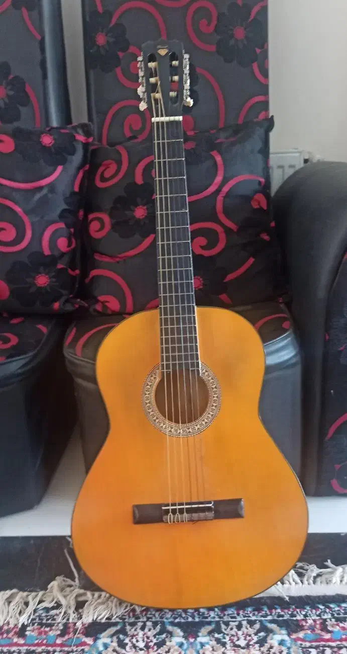 گیتار Diamond|گیتار، بیس، امپلیفایر|تهران, افسریه شمالی|دیوار