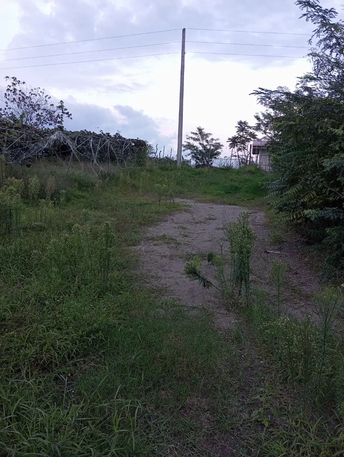 فروش فوری|فروش زمین و ملک کلنگی|لیسار, |دیوار