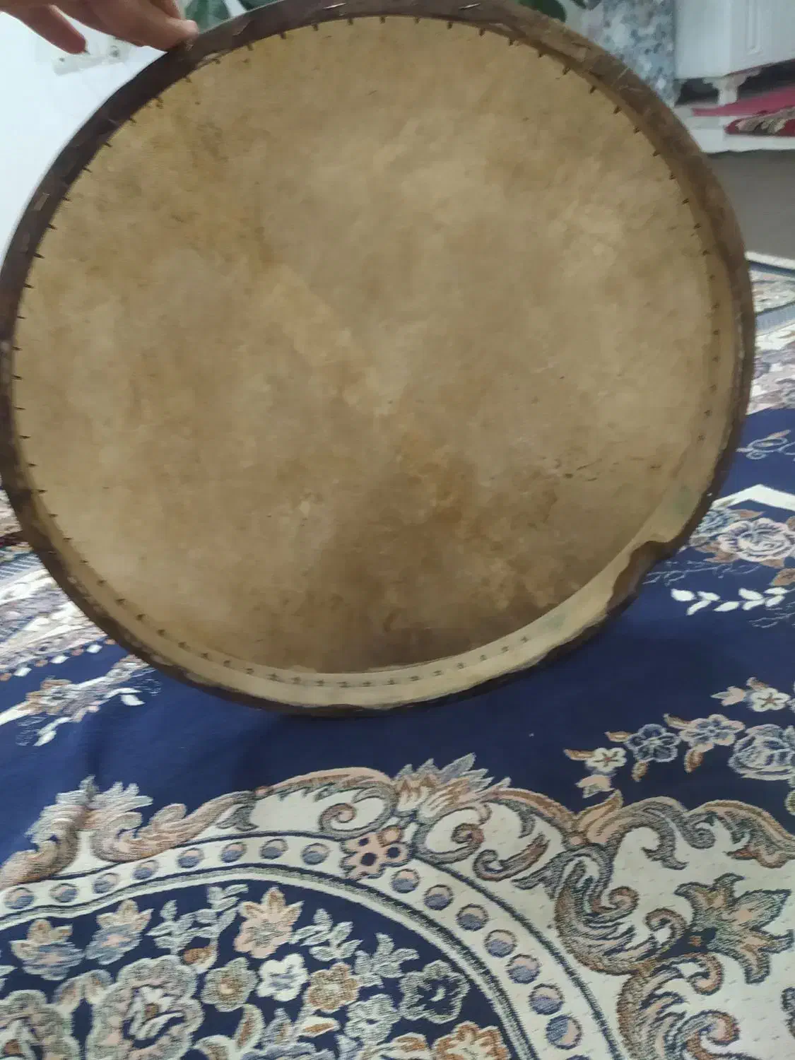 دف درویشی خوش صدا|سازهای سنتی|بوکان, |دیوار