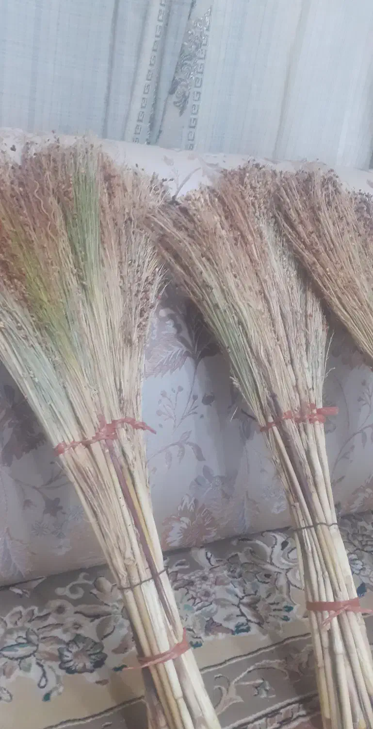 جاروخانگی|لوازم نظافت|ایوان, |دیوار