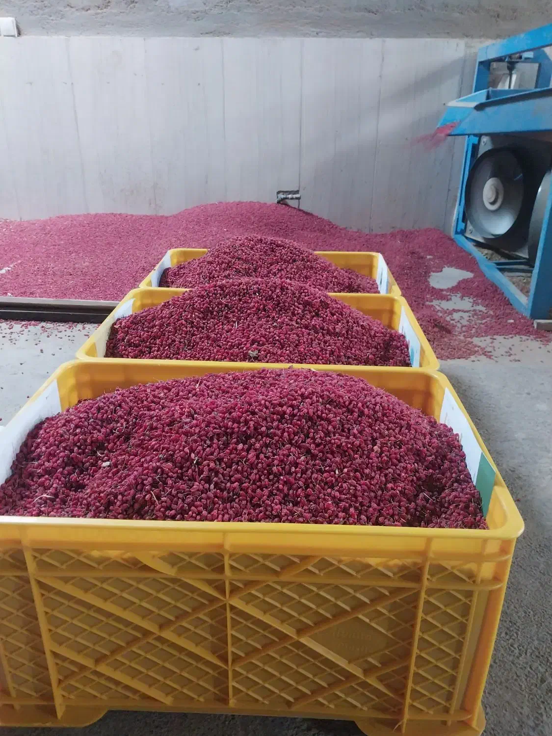 زرشک دانه اناری درجه یک اصل قاینات|عمدهفروشی|قائن, |دیوار