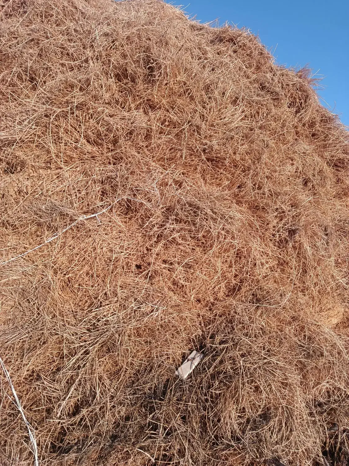 یونجه|لوازم جانبی حیوانات|مشگین شهر, |دیوار