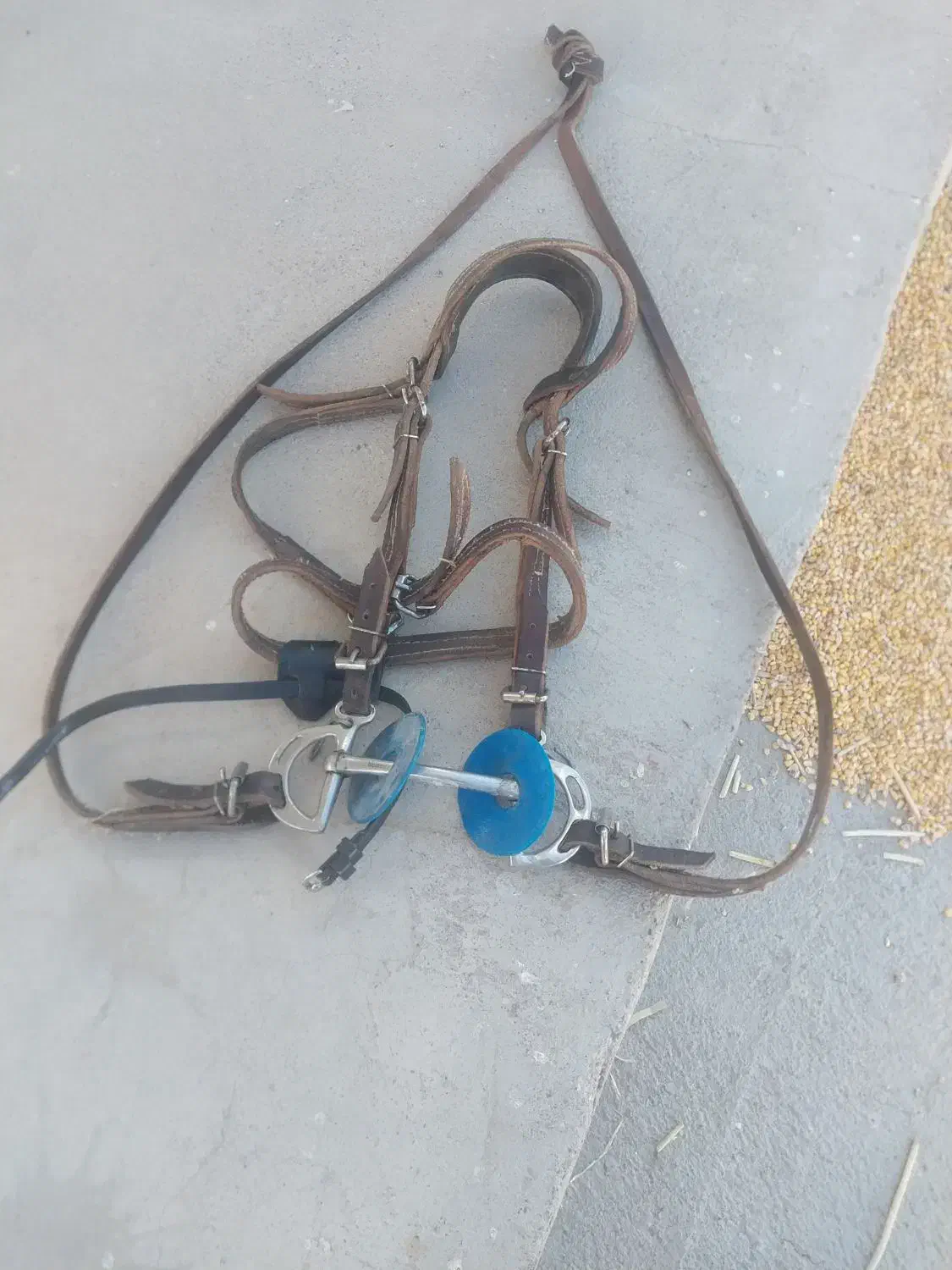 دهنه اسب تمام چرم|اسب و تجهیزات اسب‌سواری|کرمان, |دیوار