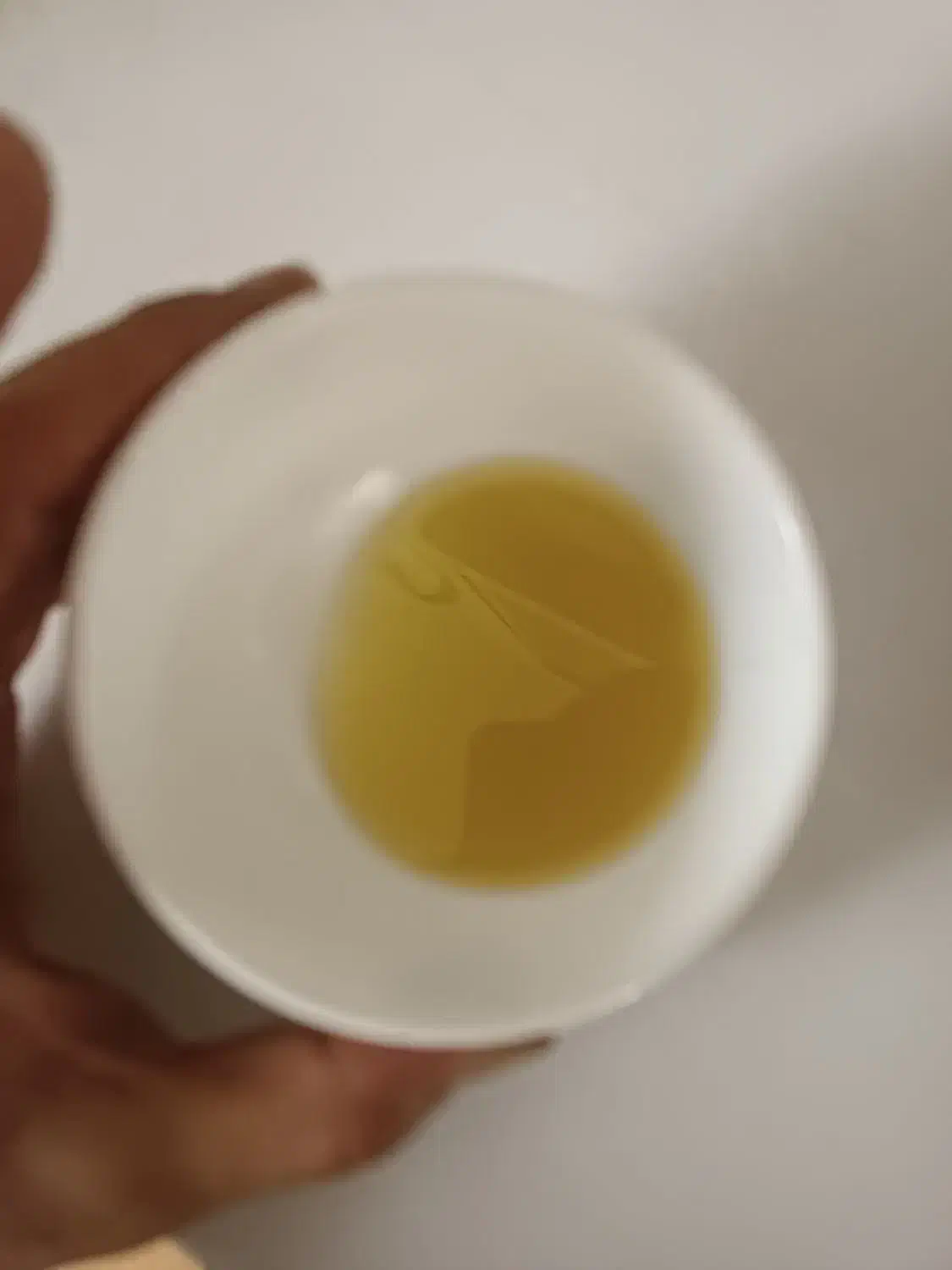 فروش روغن زیتون خالص بشرط آزمایشگاه100٪طبیعی|عمده‌فروشی|شیراز, برمشور علیا|دیوار