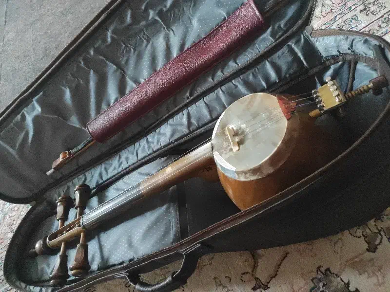 کمانچه پشت بسته|سازهای سنتی|دزفول, |دیوار