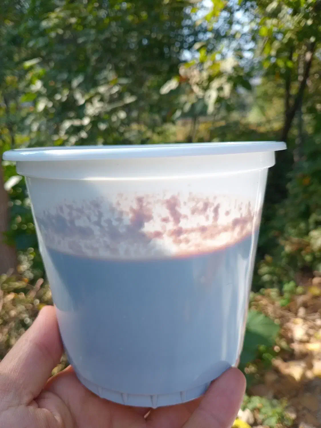 رب انار.آب انار ۱۰۰٪طبیعی.زیتون رودبار .روغن زیتون|خوردنی و آشامیدنی|رودبار, |دیوار