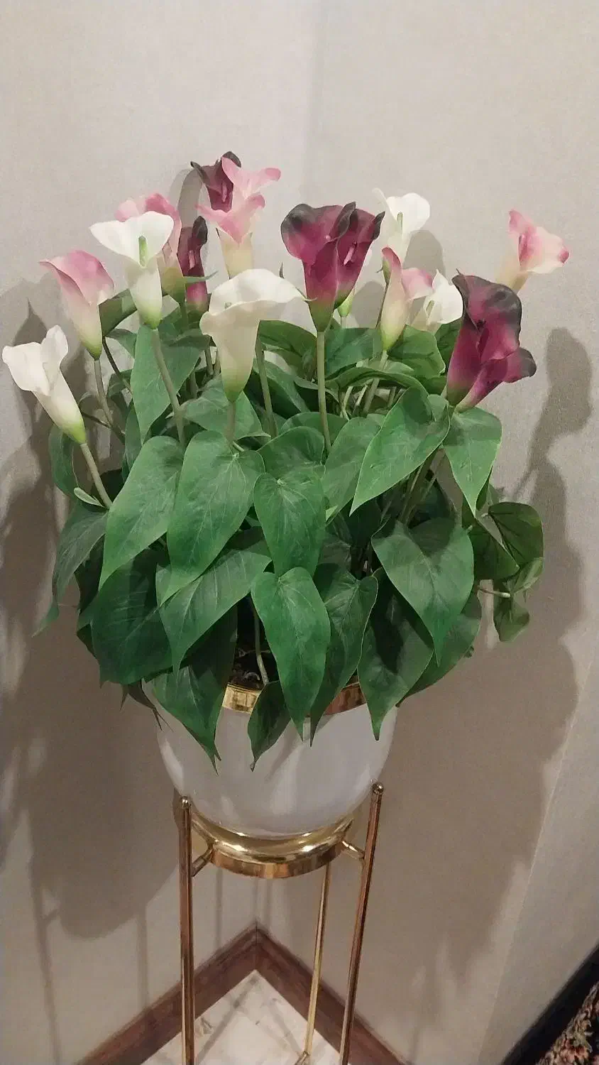 گل مصنوعی|گل مصنوعی|پاکدشت, پاکدشت (مامازند)|دیوار