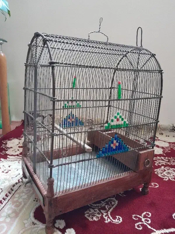 قفس مهر دار عتیقه|لوازم جانبی حیوانات|شهریار, شهرک وائین|دیوار