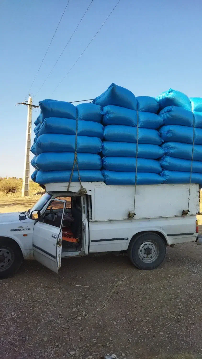 فروش کاه|عمدهفروشی|سلطانیه, |دیوار