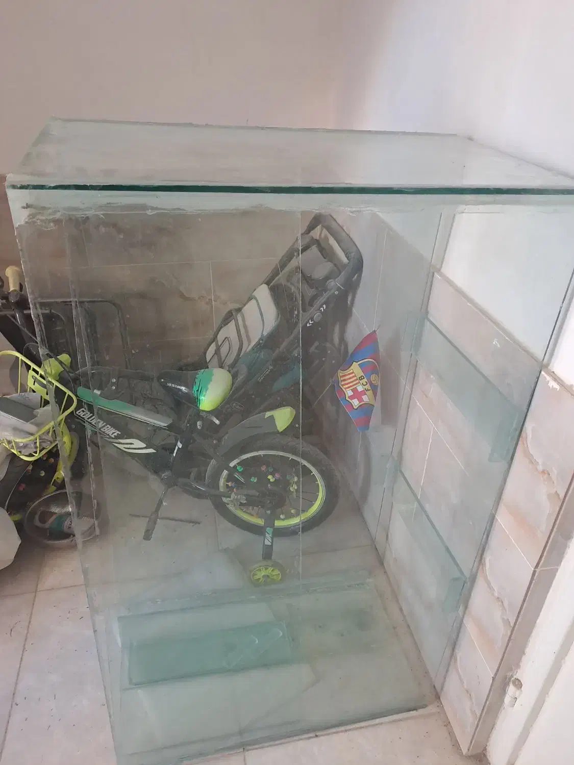 اکواریم|بوفه، ویترین، کنسول|شیراز, گویم|دیوار