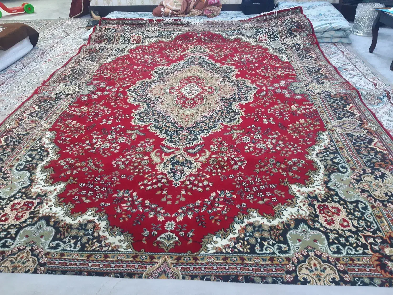 قالی ۶ متری لاکی|فرش|مشهد, موسوی قوچانی|دیوار