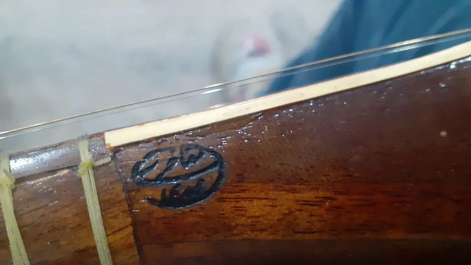 ساز سه تار مارک مفاخر|سازهای سنتی|قیروکارزین, |دیوار