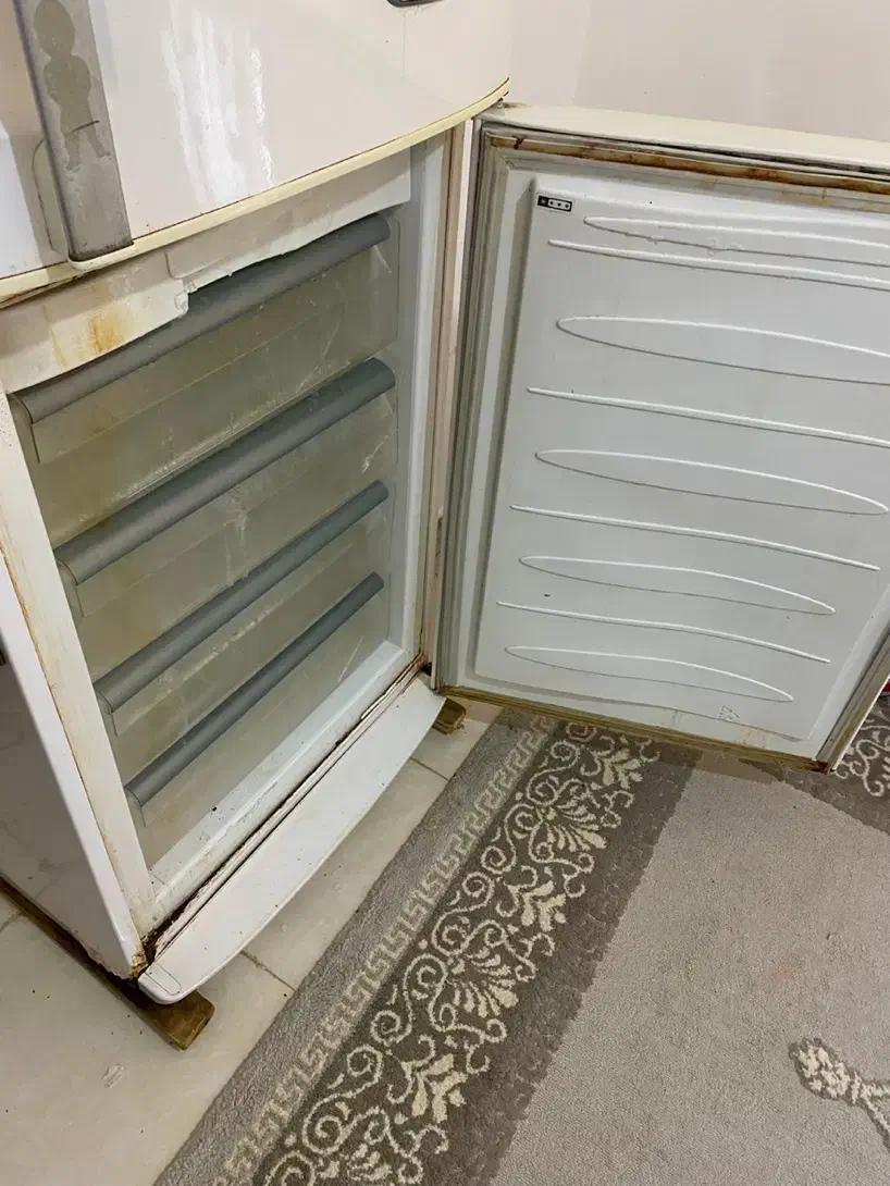 یخچال|یخچال و فریزر|بندرعباس, |دیوار