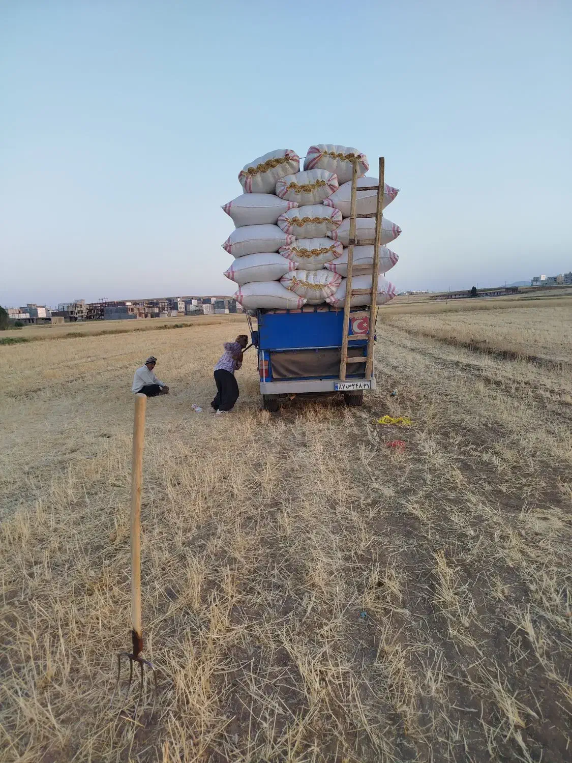 کاه درجه یک|خدمات باغبانی و درختکاری|نورآباد, |دیوار