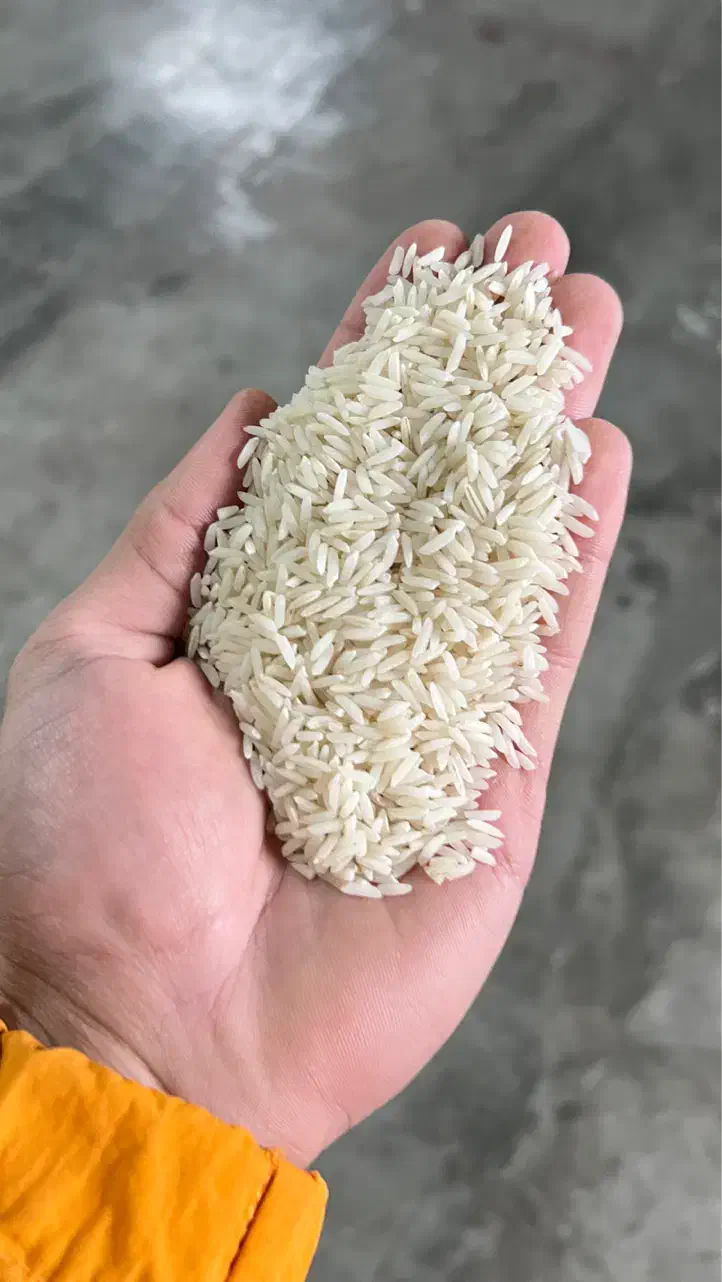 برنج ایرانی درجه یک از کارخانه به مشتری|عمده‌فروشی|بندر انزلی, گلشن|دیوار