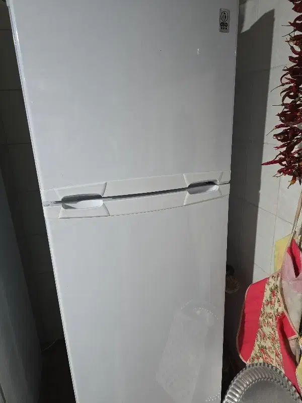 یخچال فریزر|یخچال و فریزر|شیراز, شهرک قمشه|دیوار