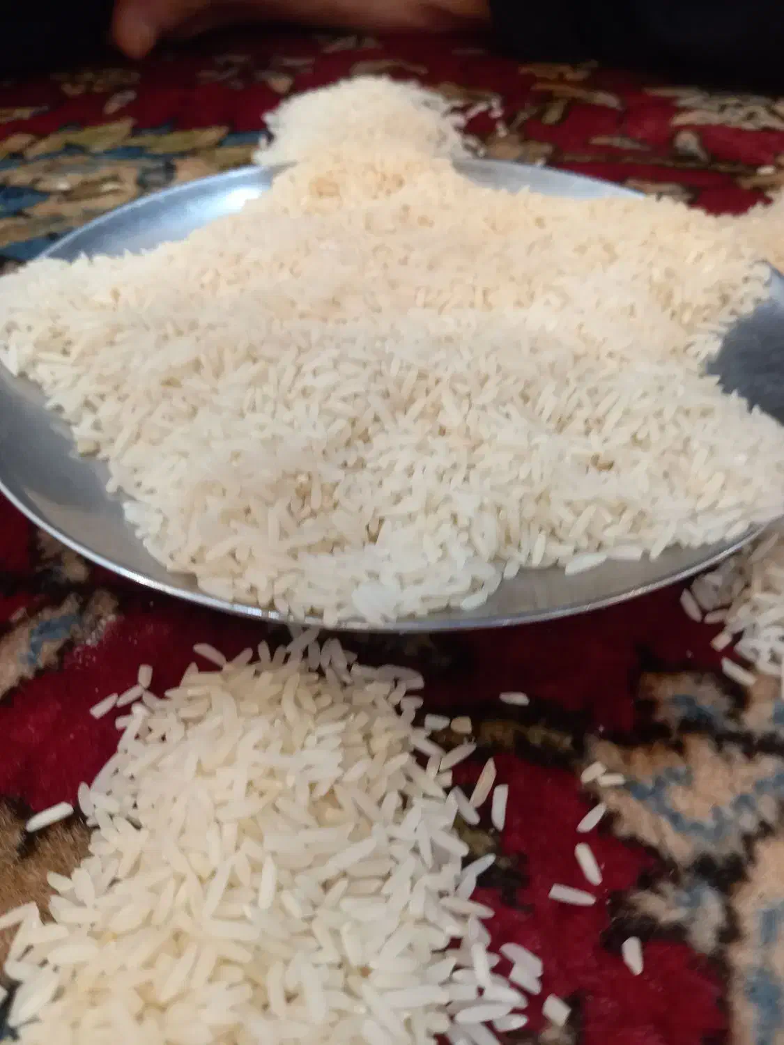 فروش برنج هاشمی|عمده‌فروشی|رشت, کوی حسینی|دیوار