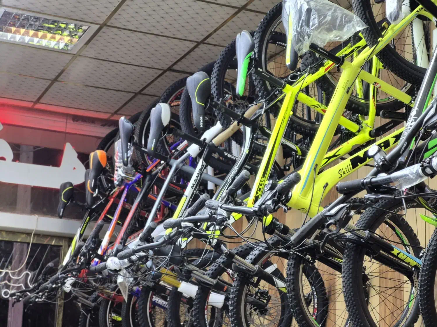 بالاترین تنوع دوچرخه24.26مشهد|دوچرخه، اسکیت، اسکوتر|مشهد, هنرور|دیوار