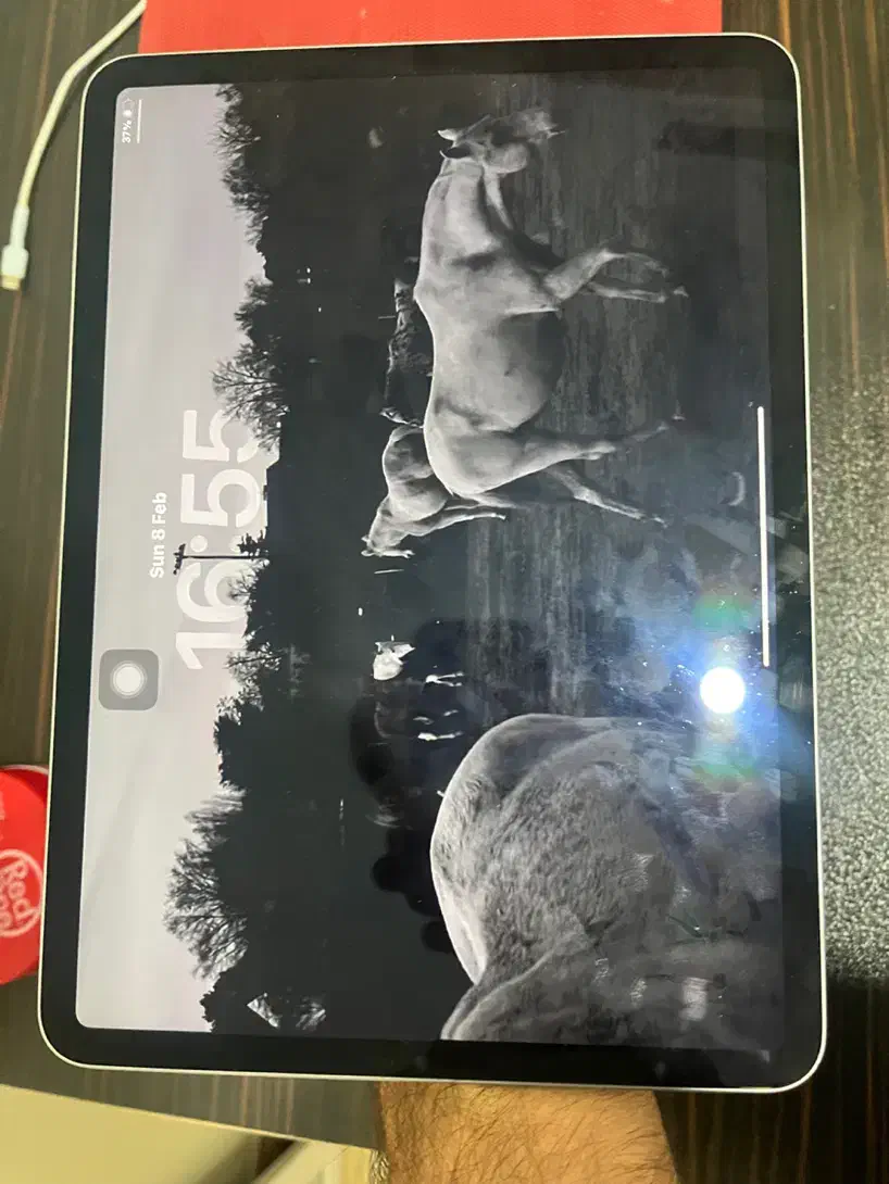 ipad pro 2022|تبلت|تهران, گمرک|دیوار