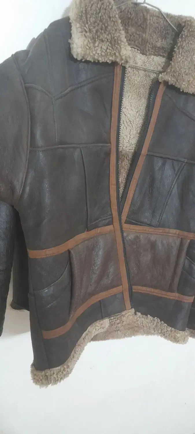 کاپشن بوفالو|لباس|کنگاور, |دیوار