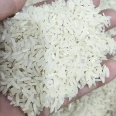 برنج ایرانی درجه ۱|خوردنی و آشامیدنی|شهریار, شهریار|دیوار