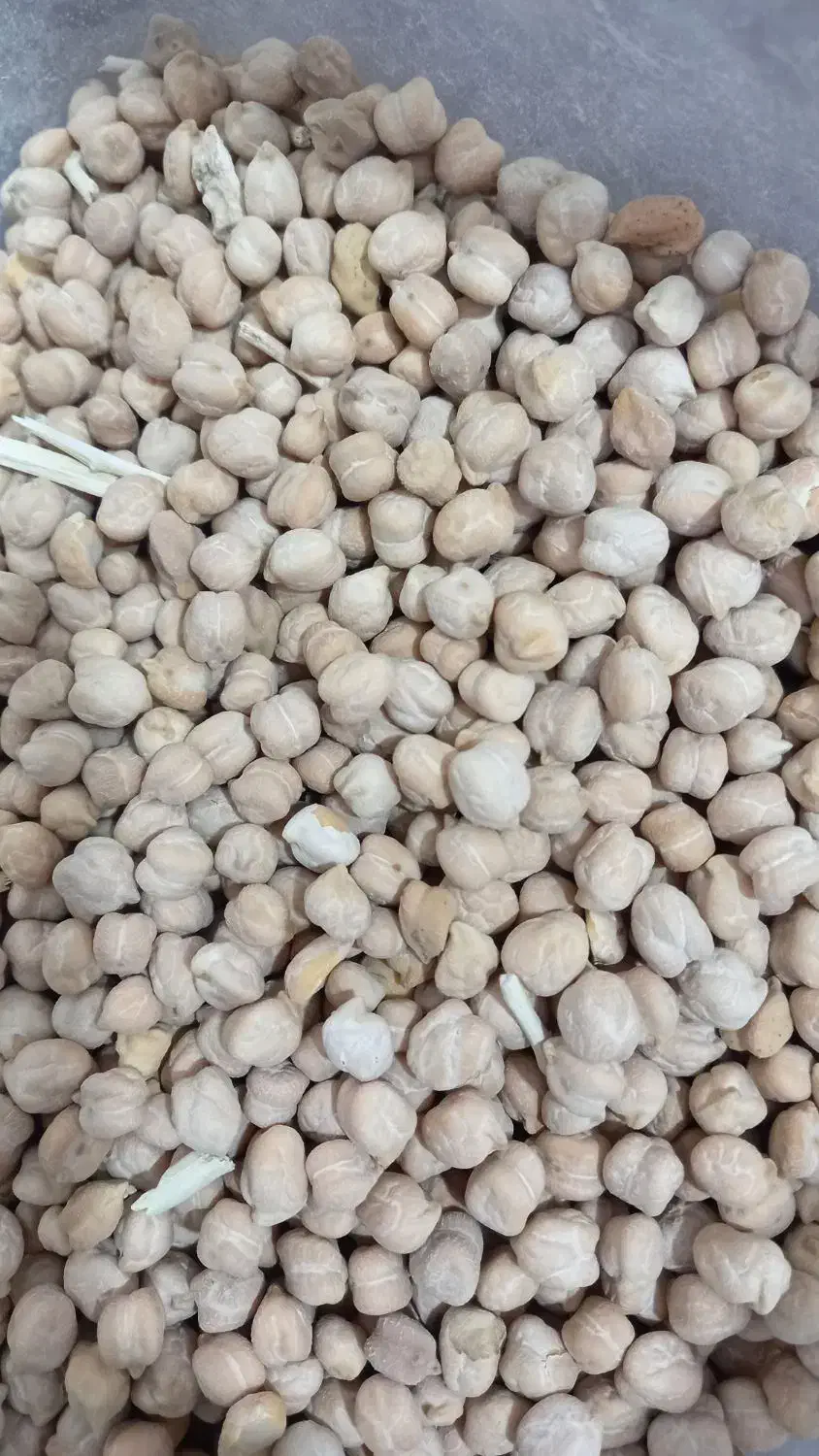 حبوبات|خوردنی و آشامیدنی|شراء, |دیوار