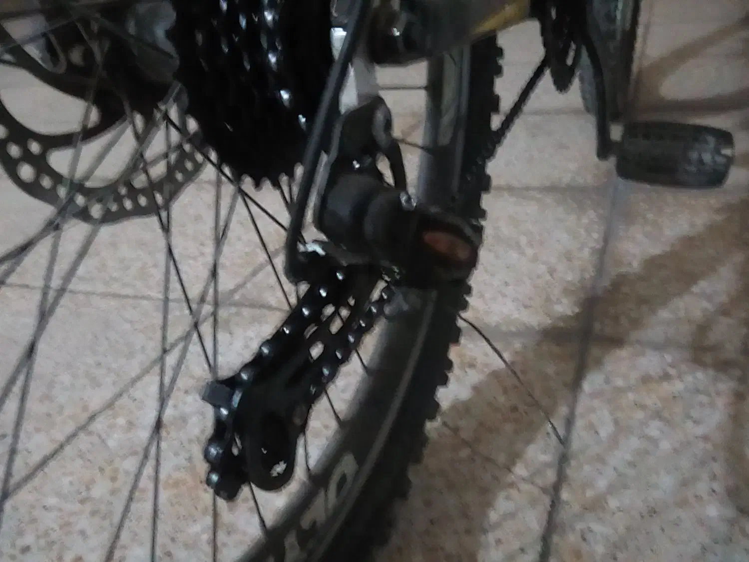 دوچرخه26|دوچرخه، اسکیت، اسکوتر|قدس, شهر‌قدس|دیوار