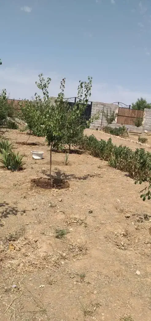 باغ ۵۰۰متری مرند روستای ارلان|فروش خانه و ویلا|کشکسرای, |دیوار
