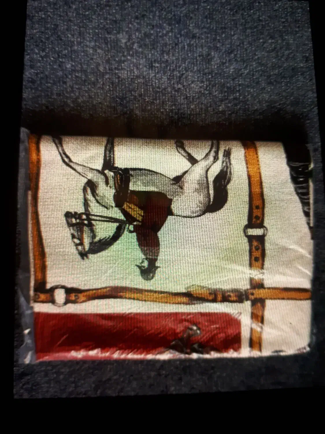 رو تختی آلمانی|سرویس روتختی|فولادشهر, C1|دیوار