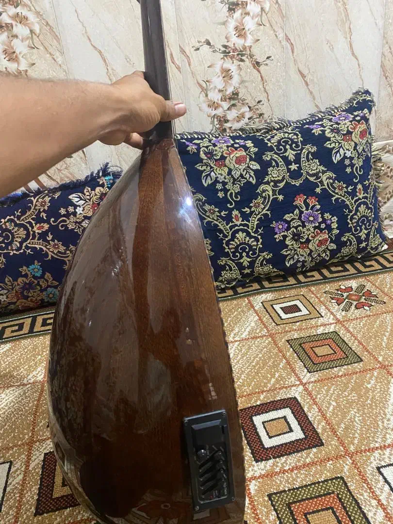 ۱۹میلیون تومن|سازهای سنتی|میناب, |دیوار