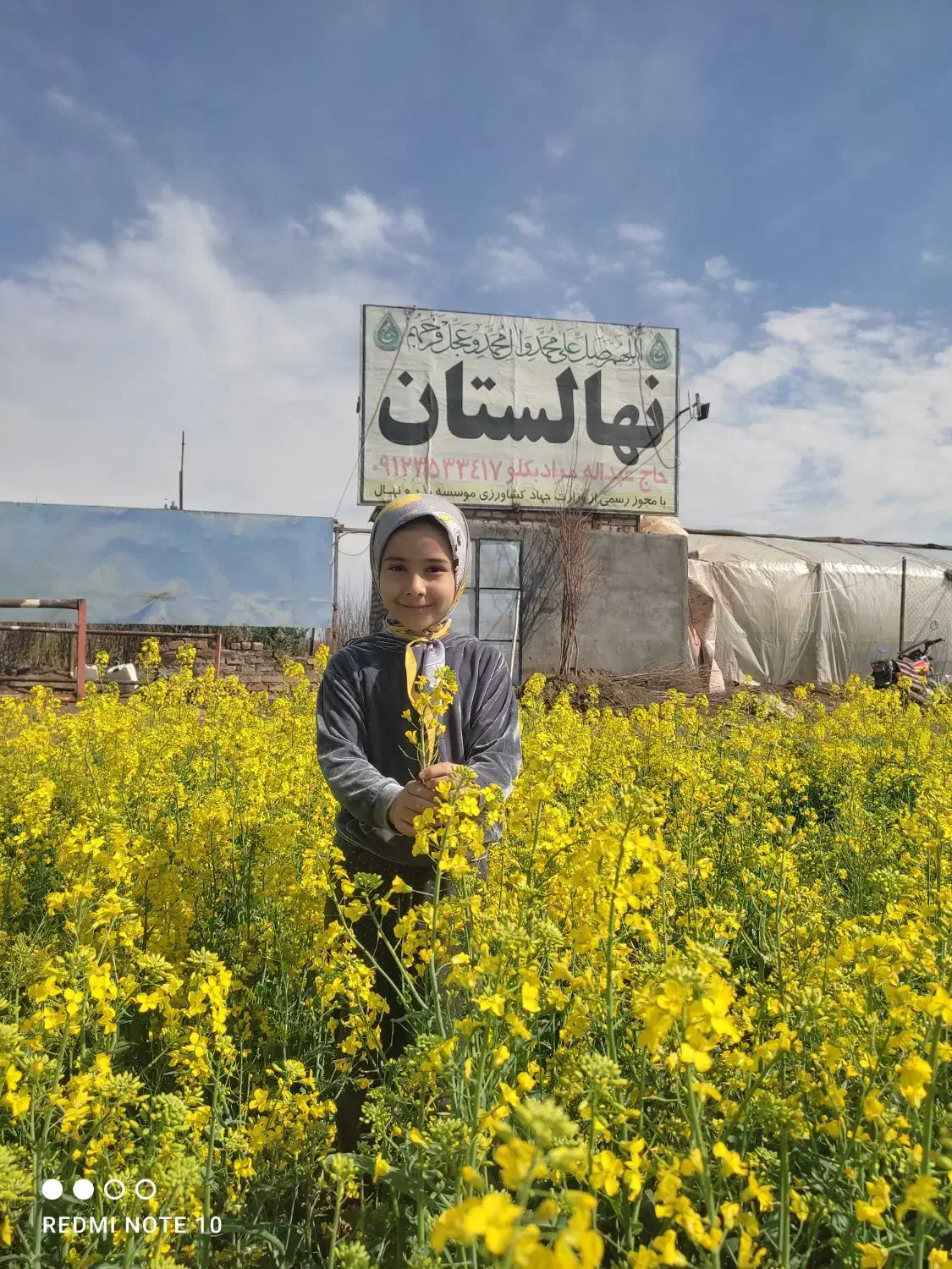 نهالستان  نمونه  مرادبکلو|خدمات باغبانی و درختکاری|کاشان, امیرکبیر|دیوار