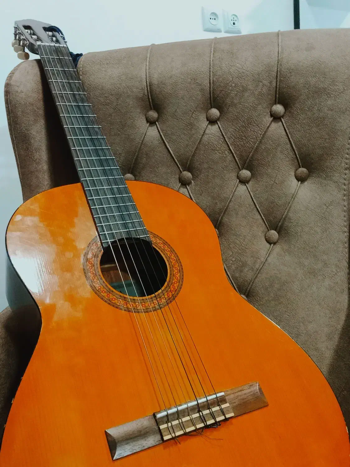 c40|گیتار، بیس، امپلیفایر|فردوس (خراسان), |دیوار