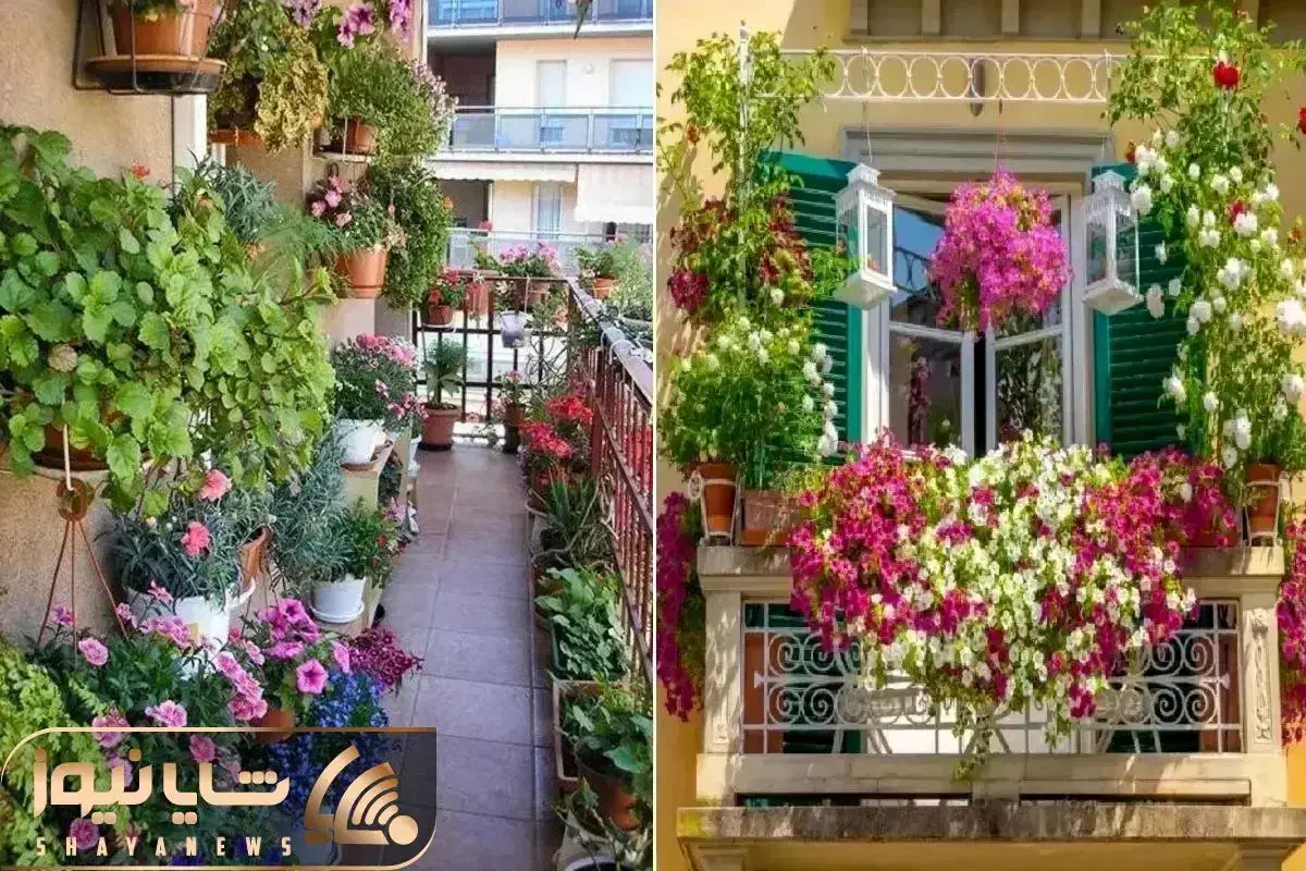 انجام خدمات باغبانی درختکاری گلکاری کوددهی هرسکاری|خدمات باغبانی و درختکاری|تهران, قیطریه|دیوار