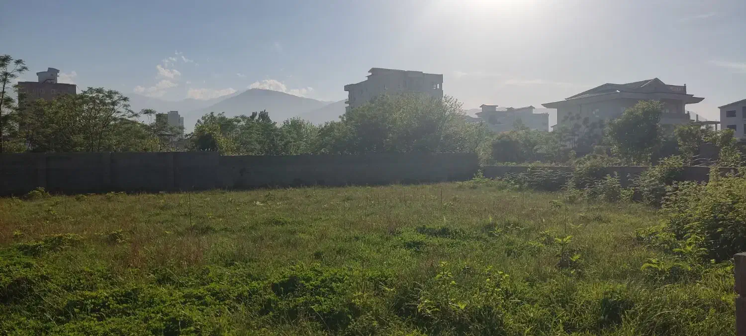 فروش زمین 214 متر/ویودار/کتالم رامسر|فروش زمین و ملک کلنگی|کتالم و سادات شهر, |دیوار