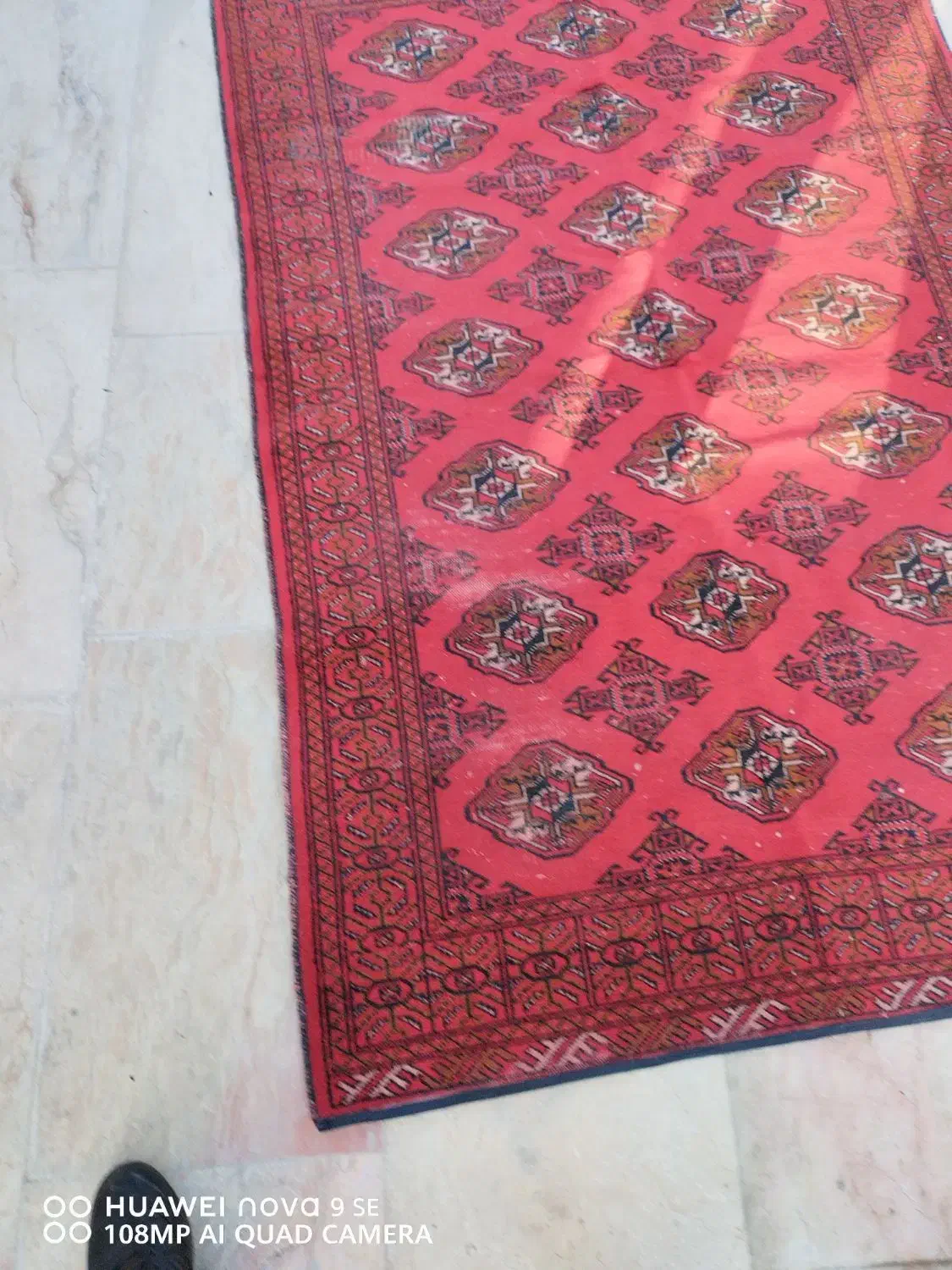 قالیچه دست باف ترکمن|فرش|مشهد, امام رضا (ع)|دیوار